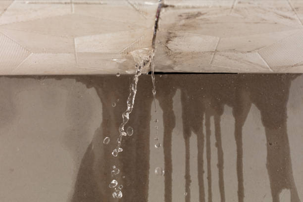 Professional Sewage Cleanup technician working in Green Camp, OH